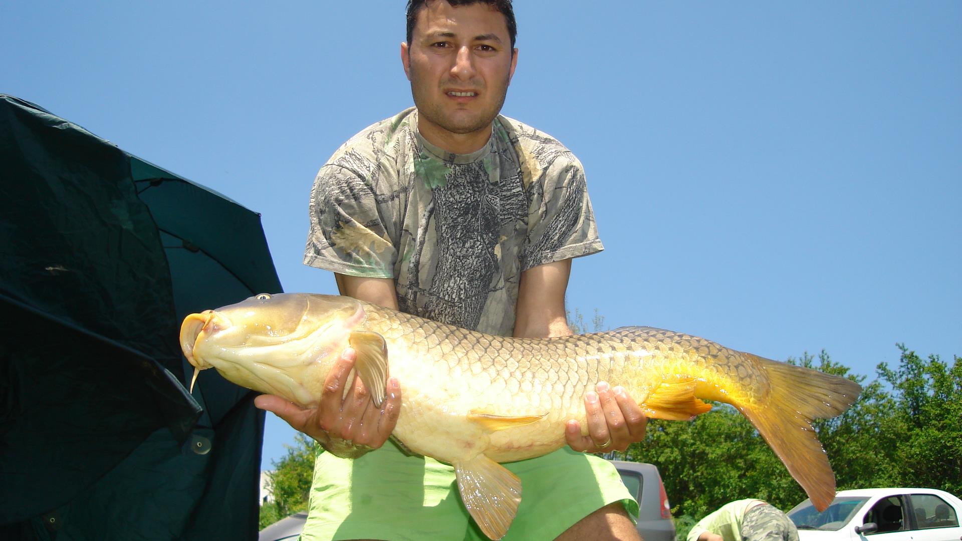 Tancabesti - dsc03285.JPG